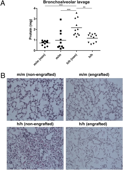 An external file that holds a picture, illustration, etc.
Object name is pnas.1019682108fig04.jpg