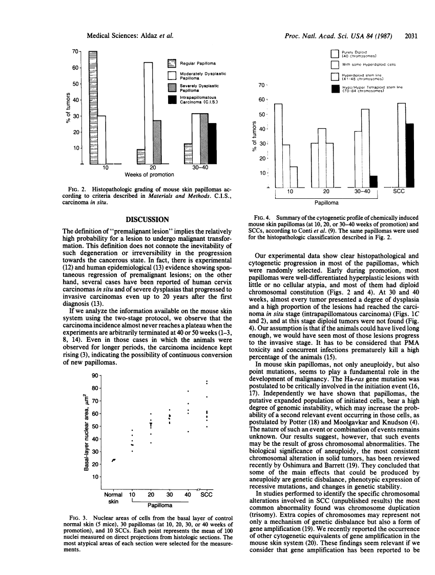 icon of scanned page 2031