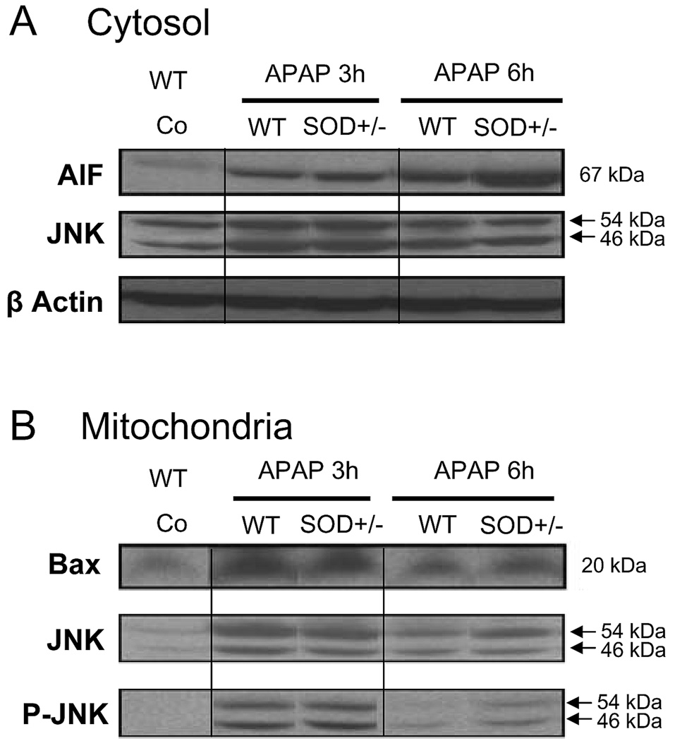 An external file that holds a picture, illustration, etc.
Object name is nihms266576f6.jpg