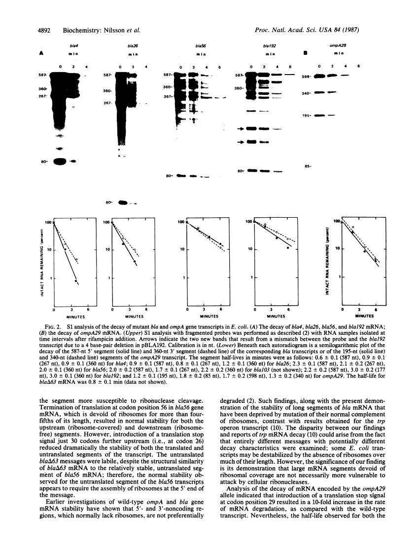 icon of scanned page 4892