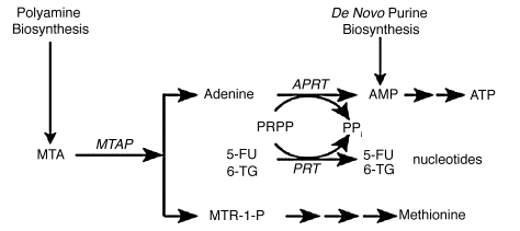 An external file that holds a picture, illustration, etc.
Object name is cbt1107_0627_fig001.jpg