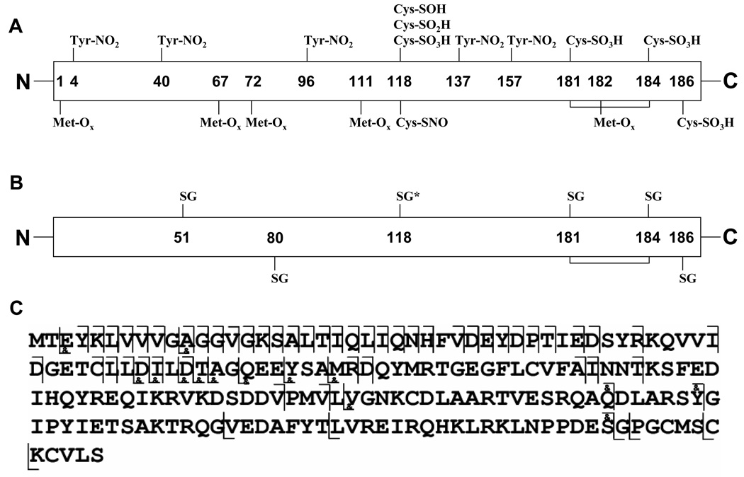 An external file that holds a picture, illustration, etc.
Object name is nihms63588f4.jpg