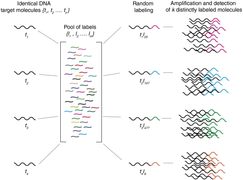 An external file that holds a picture, illustration, etc.
Object name is pnas.1017621108fig1.jpg