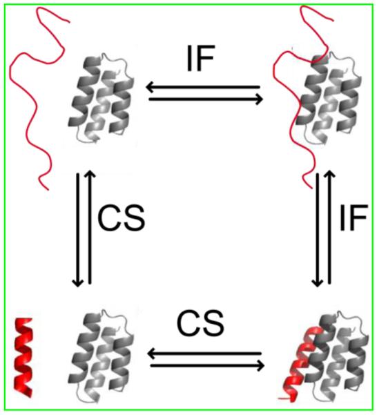 An external file that holds a picture, illustration, etc.
Object name is nihms-289363-f0002.jpg