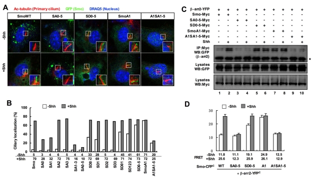 An external file that holds a picture, illustration, etc.
Object name is pbio.1001083.g004.jpg