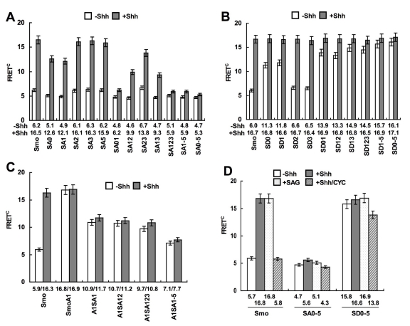 An external file that holds a picture, illustration, etc.
Object name is pbio.1001083.g005.jpg