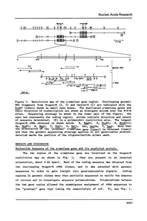 icon of scanned page 8401