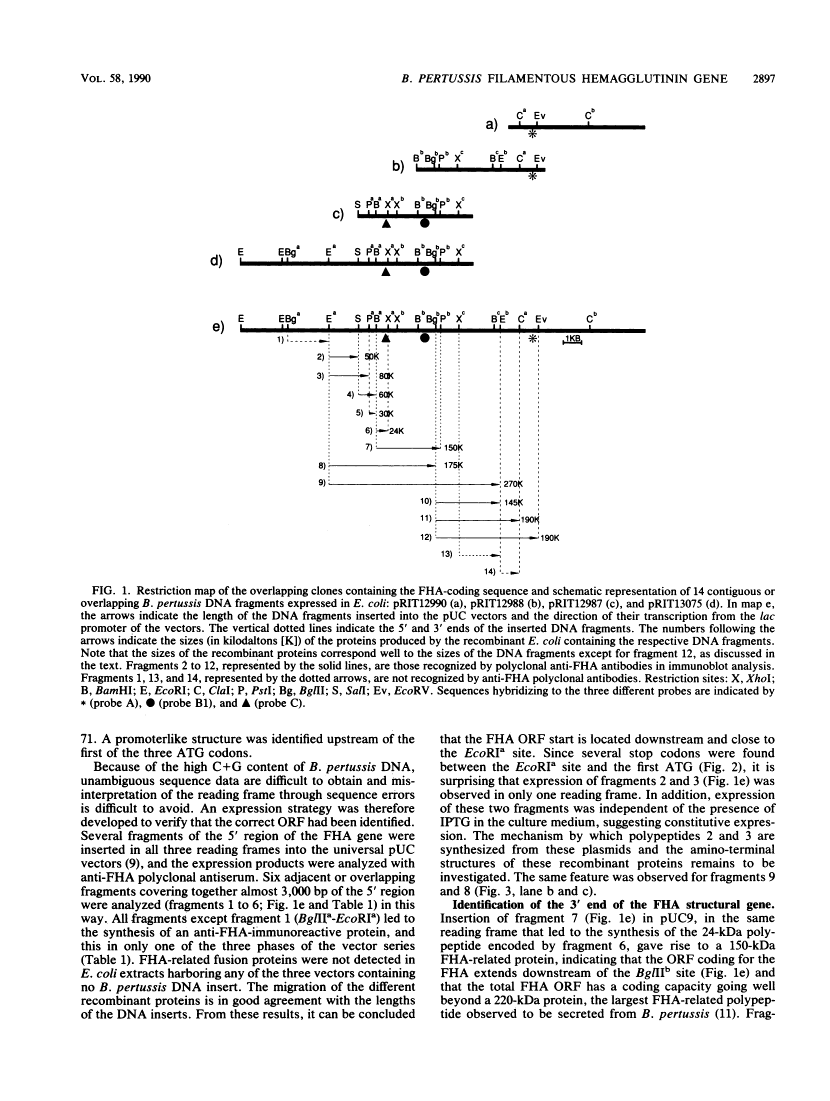 icon of scanned page 2897