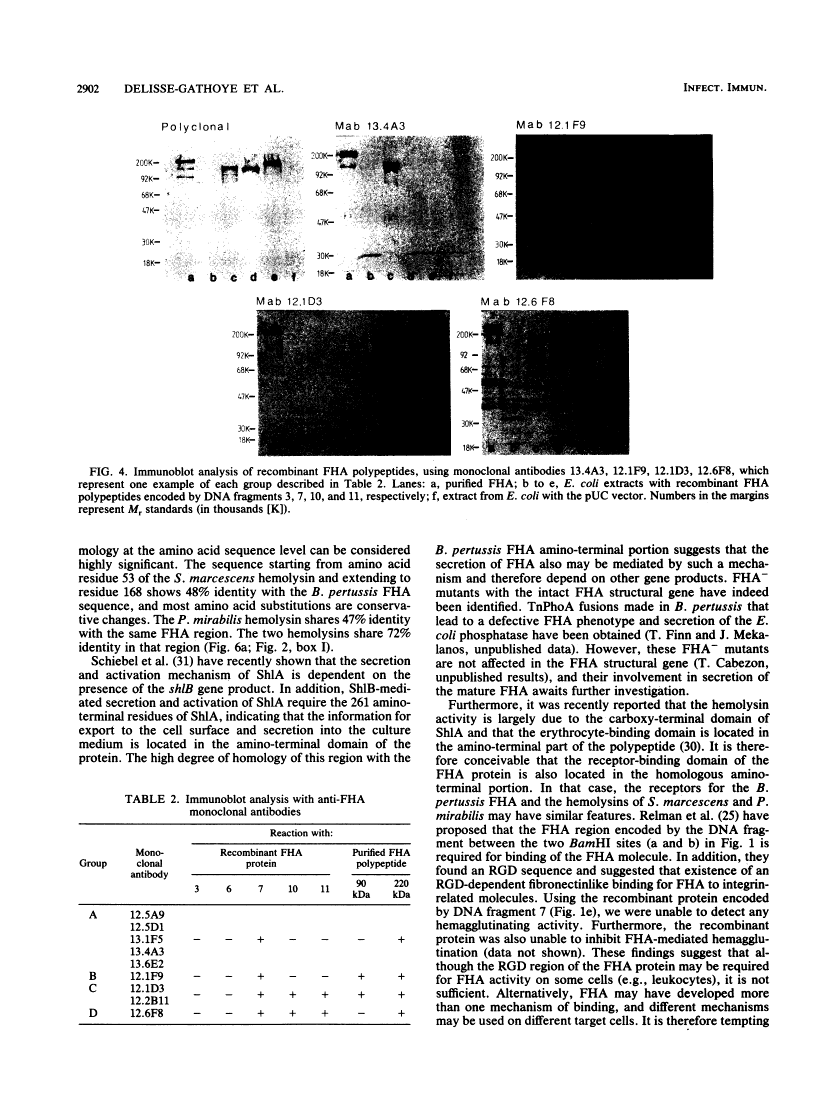 icon of scanned page 2902