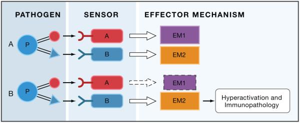 An external file that holds a picture, illustration, etc.
Object name is nihms-298603-f0003.jpg