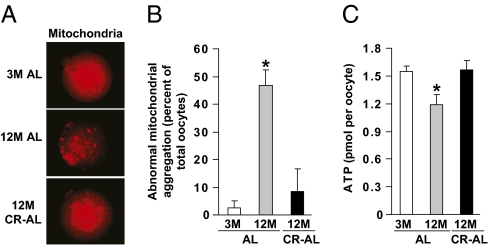 An external file that holds a picture, illustration, etc.
Object name is pnas.1018793108fig04.jpg