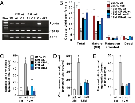 An external file that holds a picture, illustration, etc.
Object name is pnas.1018793108fig05.jpg