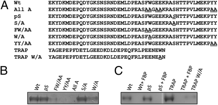 An external file that holds a picture, illustration, etc.
Object name is pnas.1110303108fig05.jpg