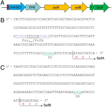 An external file that holds a picture, illustration, etc.
Object name is pnas.1105959108fig3.jpg