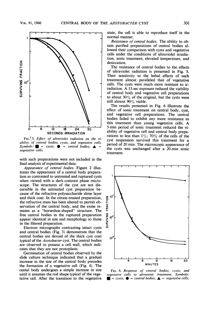 icon of scanned page 301