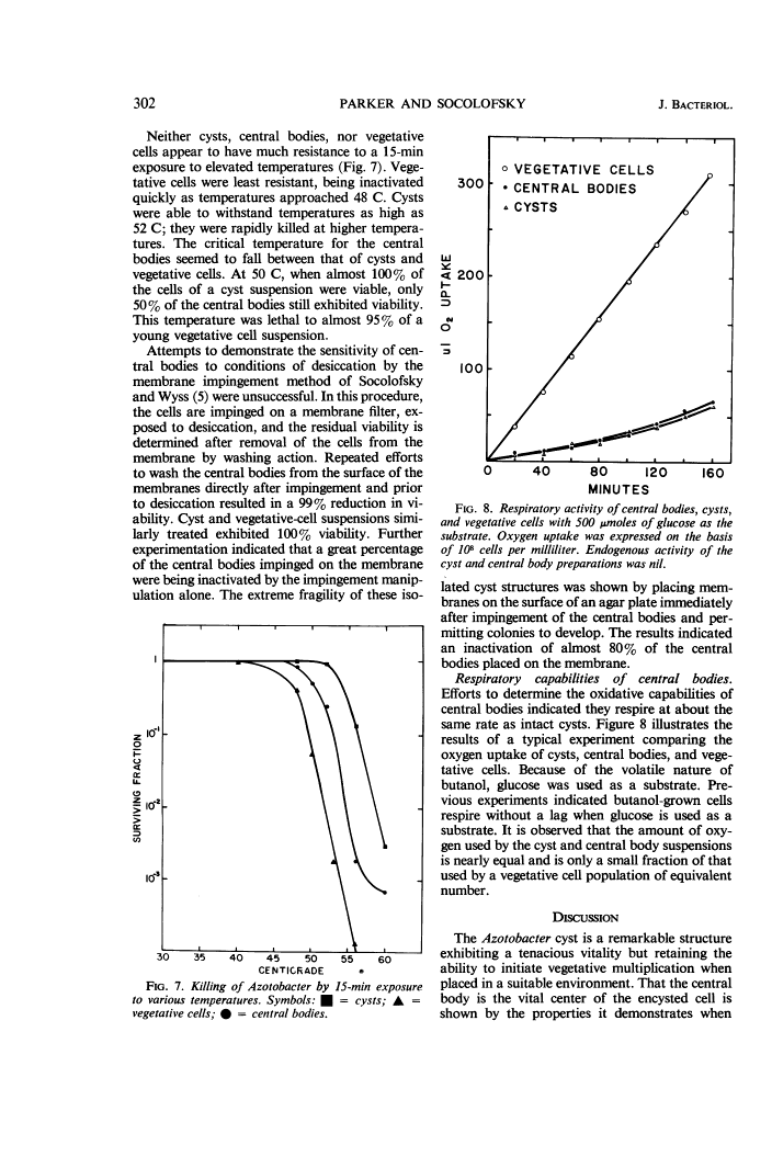 icon of scanned page 302