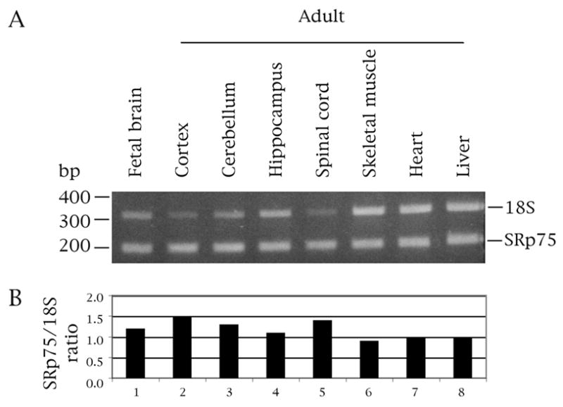 An external file that holds a picture, illustration, etc.
Object name is nihms306752f7.jpg