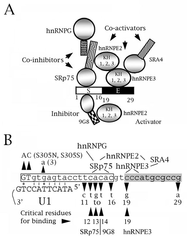 An external file that holds a picture, illustration, etc.
Object name is nihms306752f8.jpg