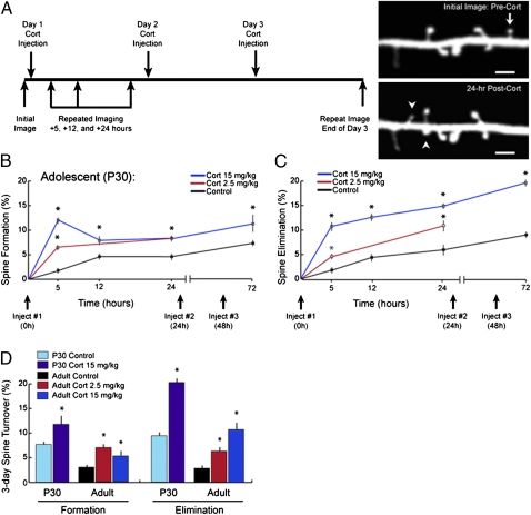 An external file that holds a picture, illustration, etc.
Object name is pnas.1110444108fig01.jpg