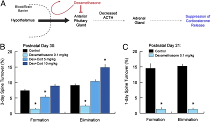 An external file that holds a picture, illustration, etc.
Object name is pnas.1110444108fig03.jpg