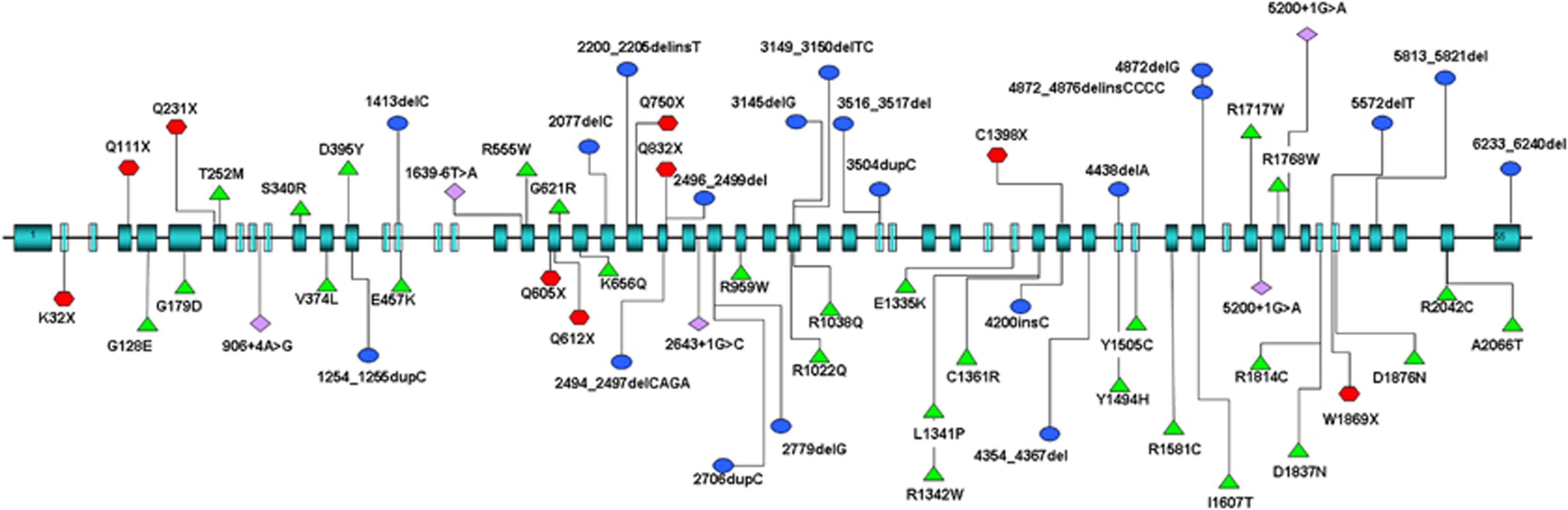 An external file that holds a picture, illustration, etc.
Object name is ejhg201170f3.jpg