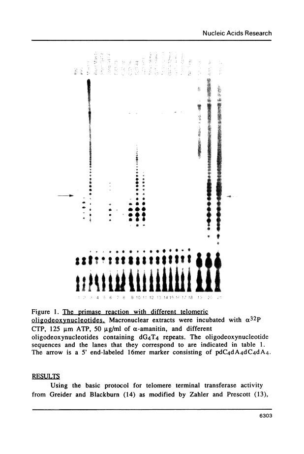 icon of scanned page 6303