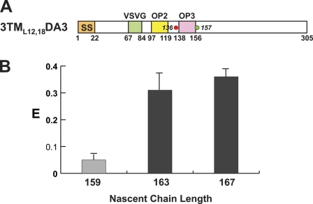 An external file that holds a picture, illustration, etc.
Object name is JCB_201103118_RGB_Fig3.jpg