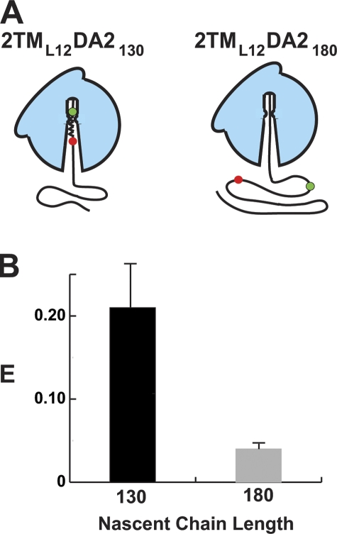 An external file that holds a picture, illustration, etc.
Object name is JCB_201103118_RGB_Fig4.jpg