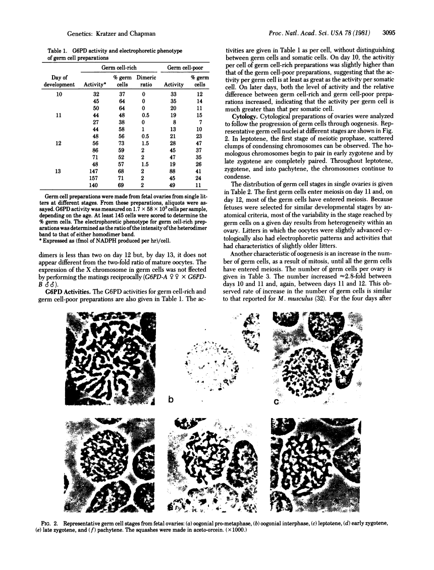 icon of scanned page 3095