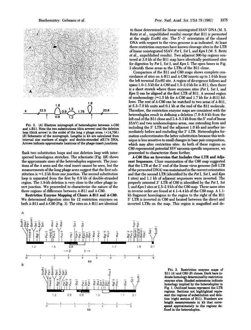 icon of scanned page 3375