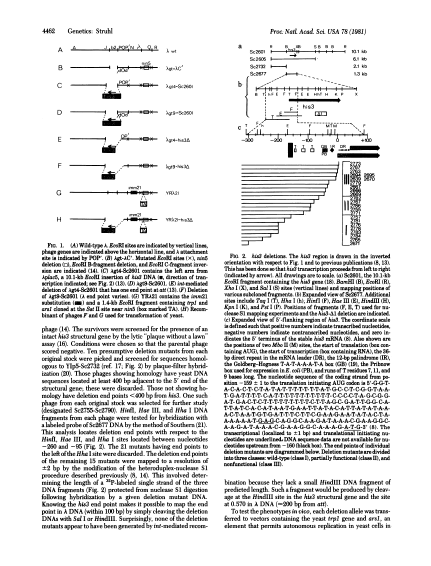 icon of scanned page 4462