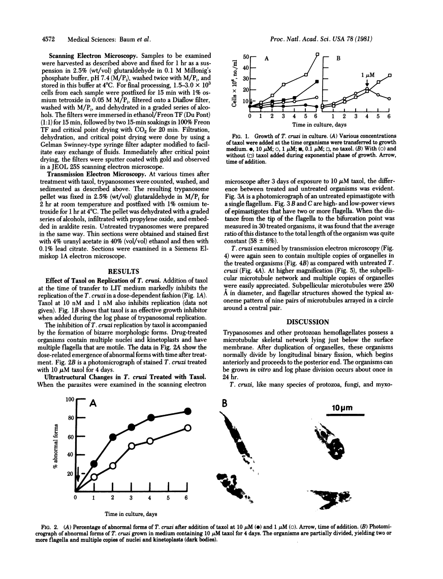 icon of scanned page 4572