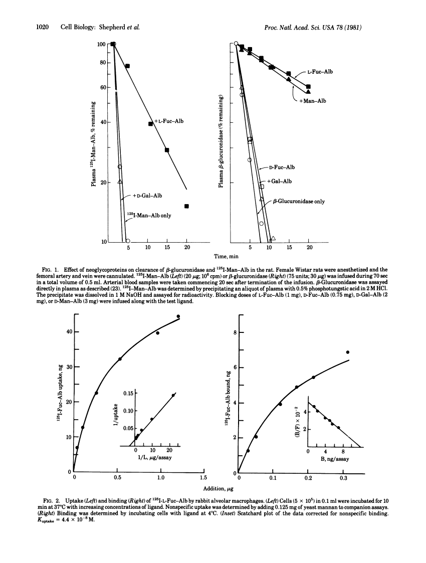 icon of scanned page 1020