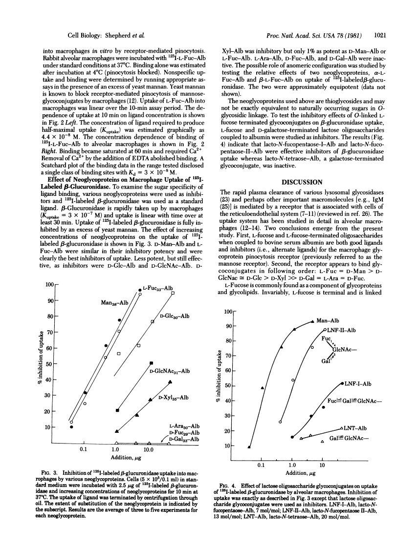 icon of scanned page 1021