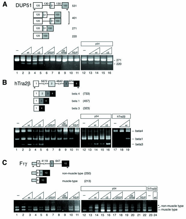 An external file that holds a picture, illustration, etc.
Object name is zmb0030409420004.jpg