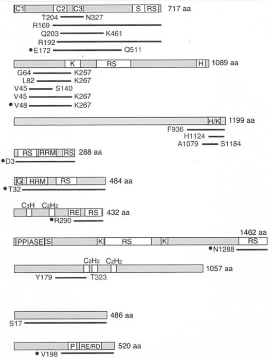 An external file that holds a picture, illustration, etc.
Object name is zmb00304094200t2.jpg