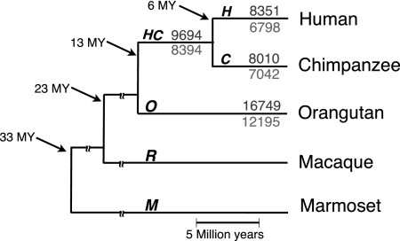 An external file that holds a picture, illustration, etc.
Object name is 2038fig1.jpg