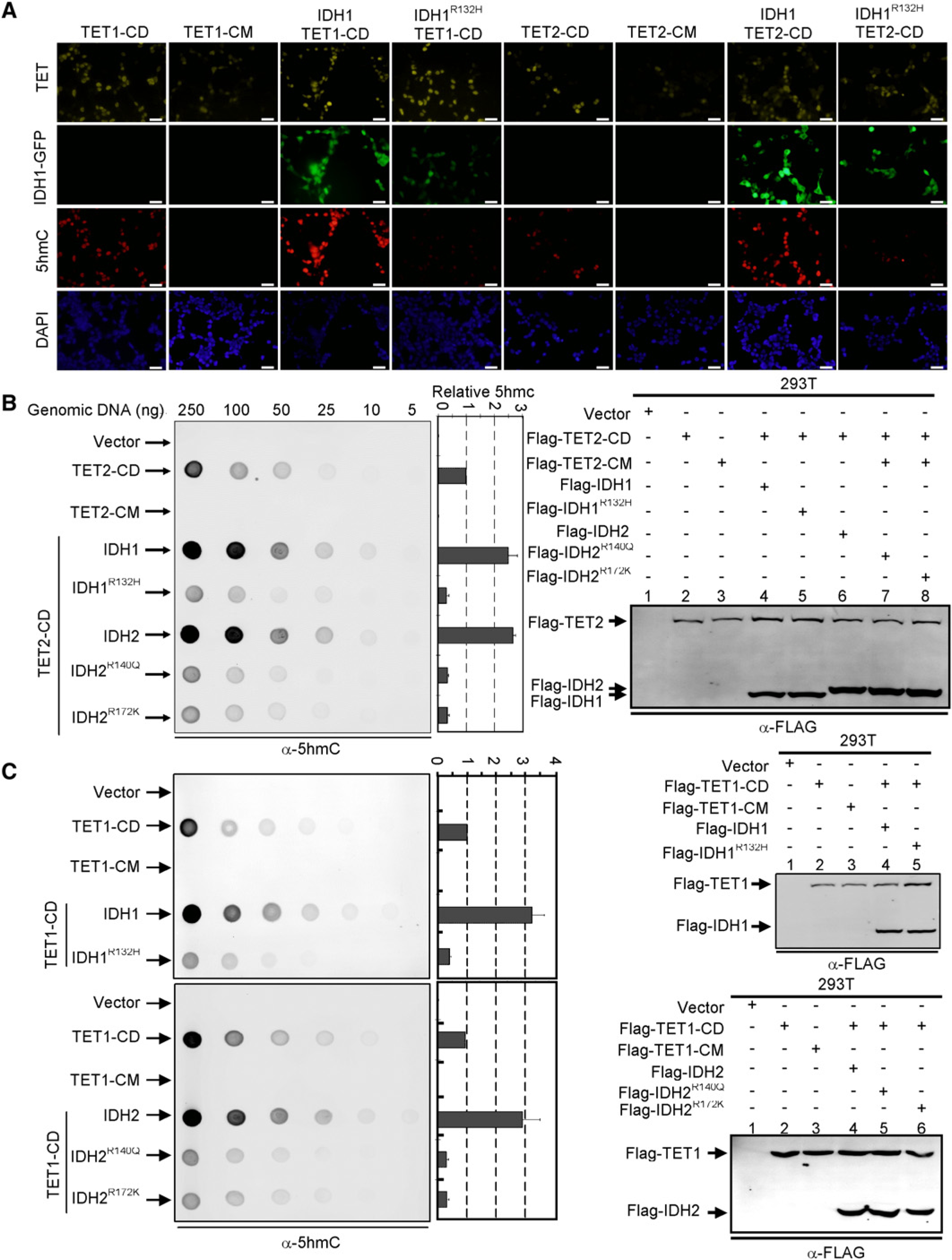 An external file that holds a picture, illustration, etc.
Object name is nihms-339889-f0007.jpg