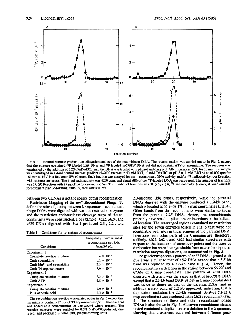 icon of scanned page 924