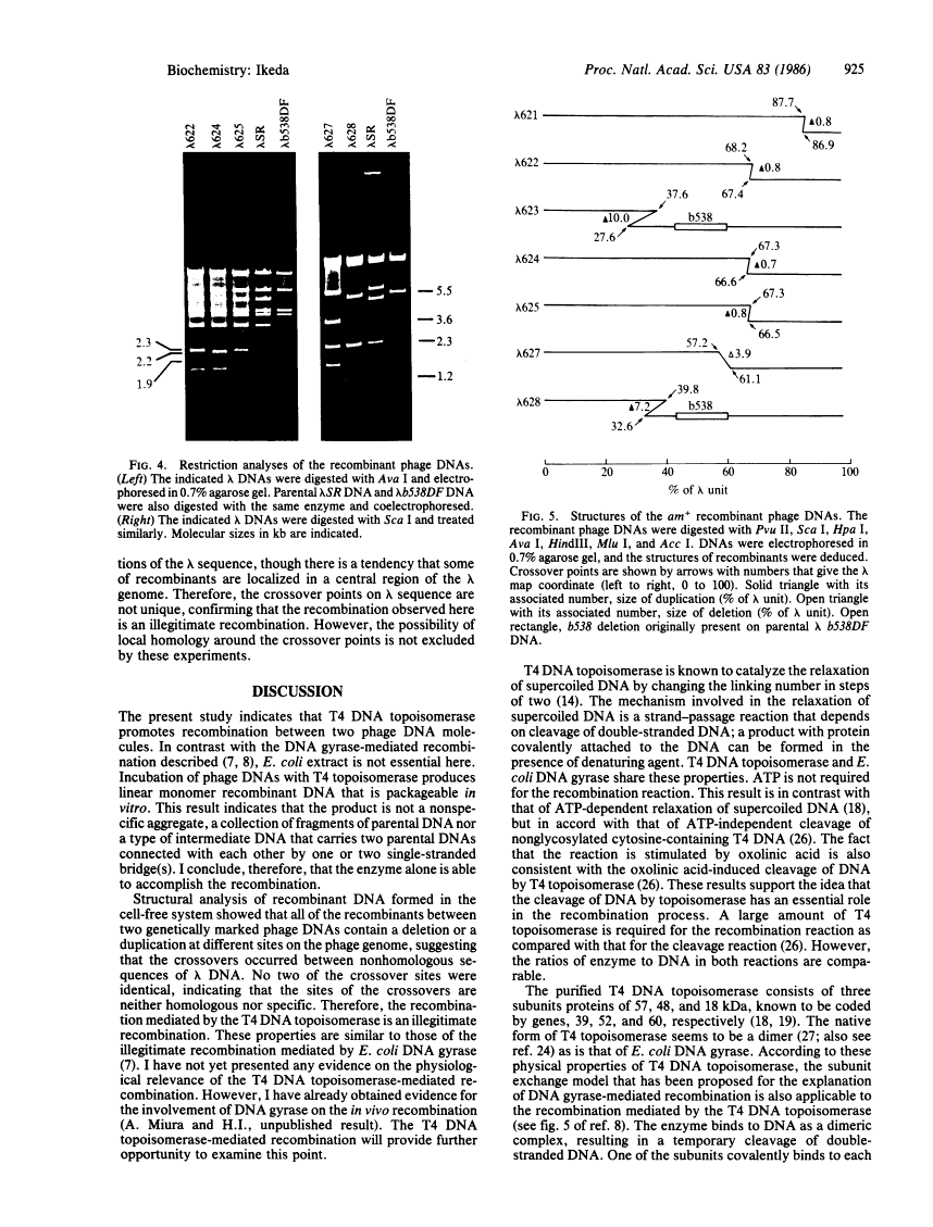 icon of scanned page 925