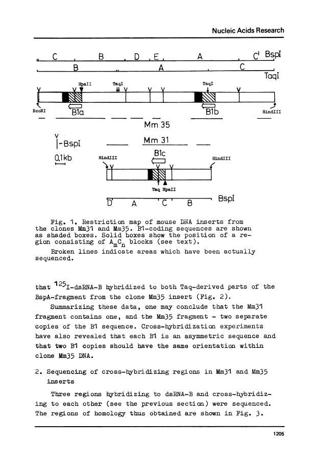 icon of scanned page 1205