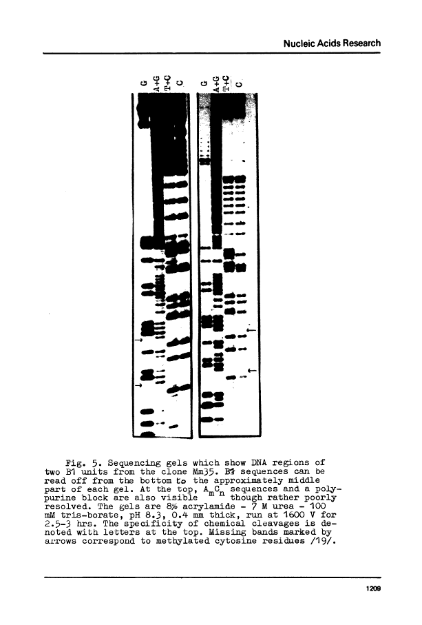 icon of scanned page 1209