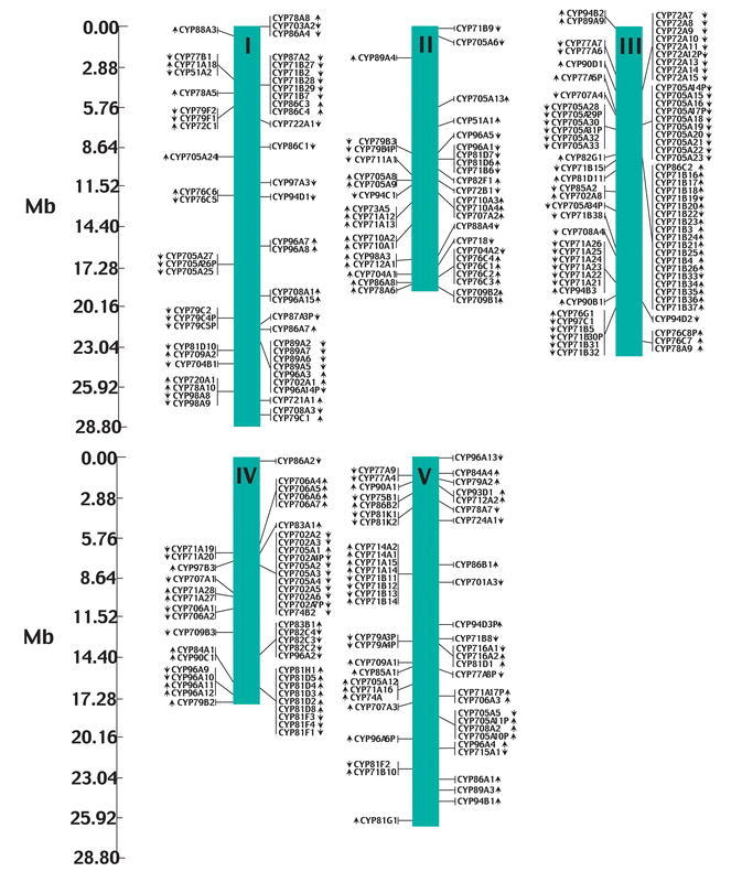 An external file that holds a picture, illustration, etc.
Object name is i1543-8120-2-1-1-f03.jpg