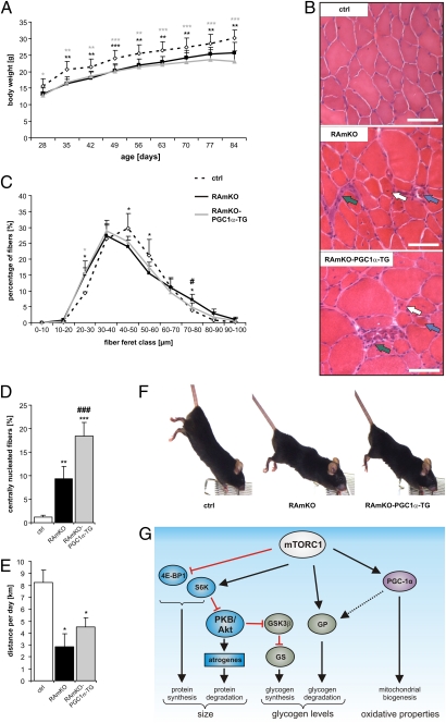 An external file that holds a picture, illustration, etc.
Object name is pnas.1111448109fig04.jpg