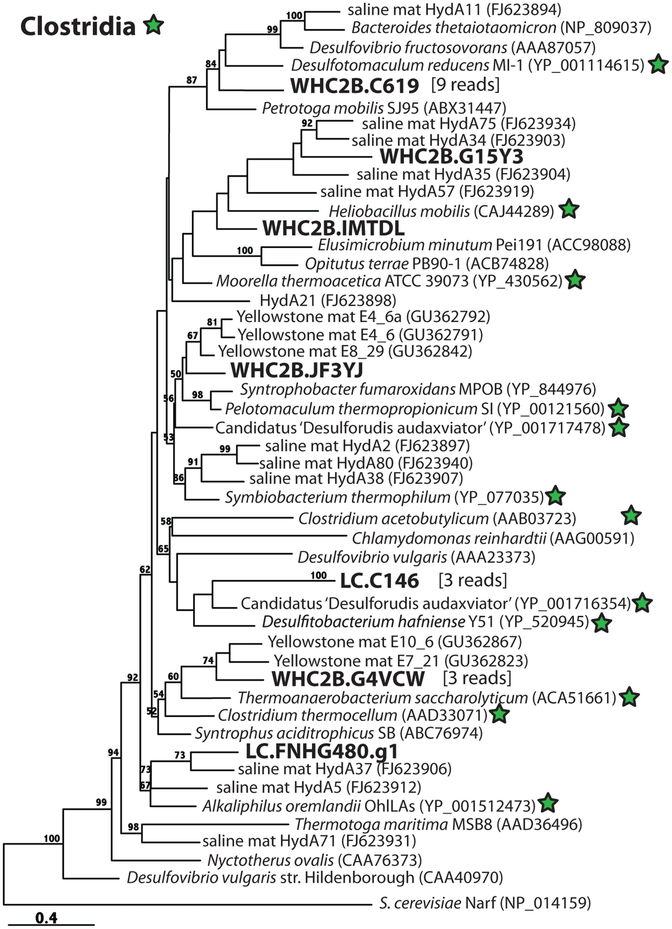 An external file that holds a picture, illustration, etc.
Object name is fmicb-02-00268-g006.jpg