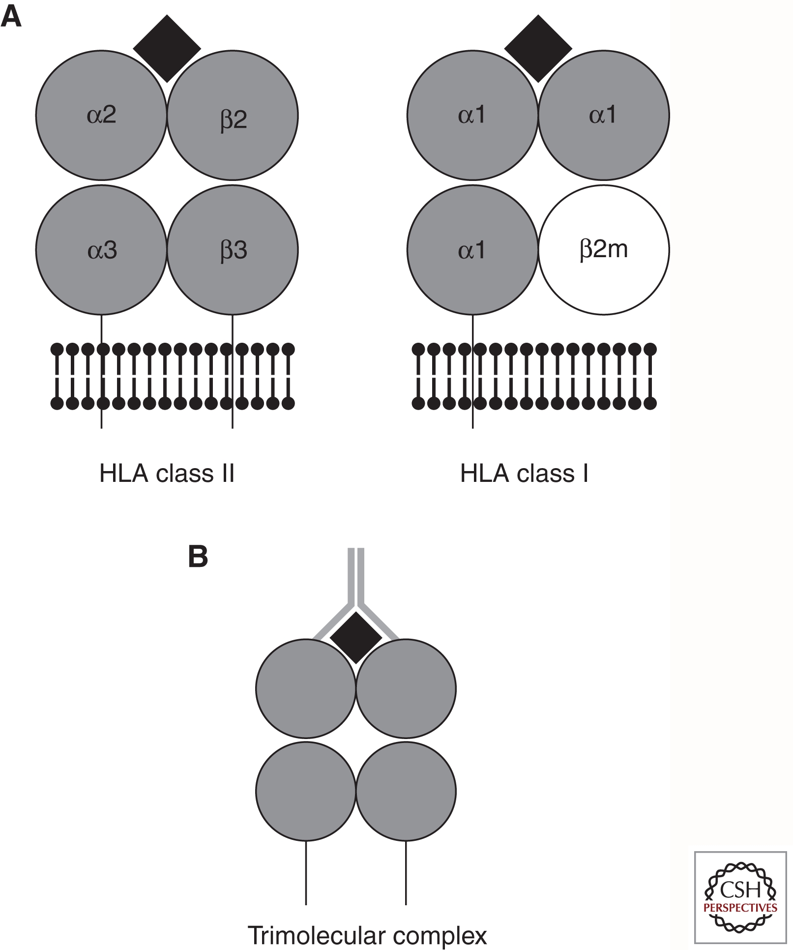 An external file that holds a picture, illustration, etc.
Object name is cshperspectmed-DIA-007732_F2.jpg