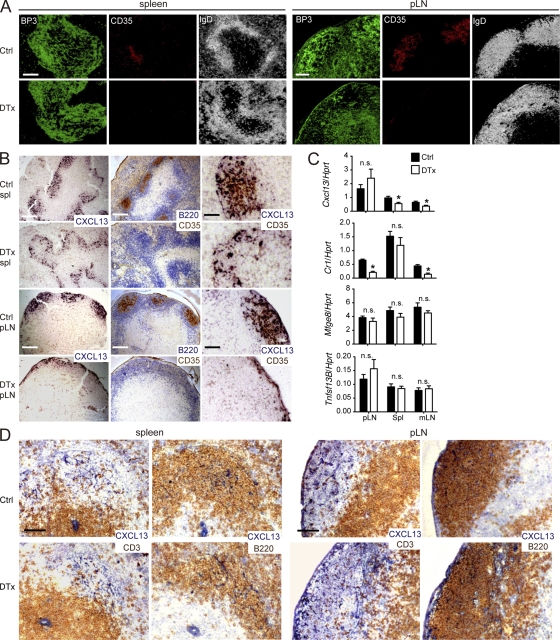 An external file that holds a picture, illustration, etc.
Object name is JEM_20111449_RGB_Fig2.jpg