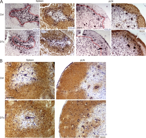 An external file that holds a picture, illustration, etc.
Object name is JEM_20111449_RGB_Fig4.jpg