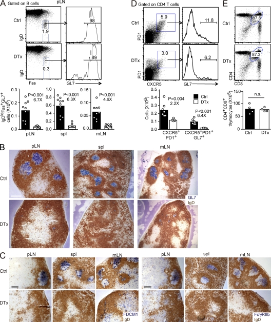 An external file that holds a picture, illustration, etc.
Object name is JEM_20111449_RGB_Fig6.jpg