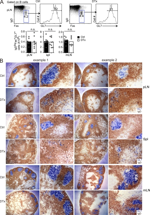 An external file that holds a picture, illustration, etc.
Object name is JEM_20111449_RGB_Fig7.jpg